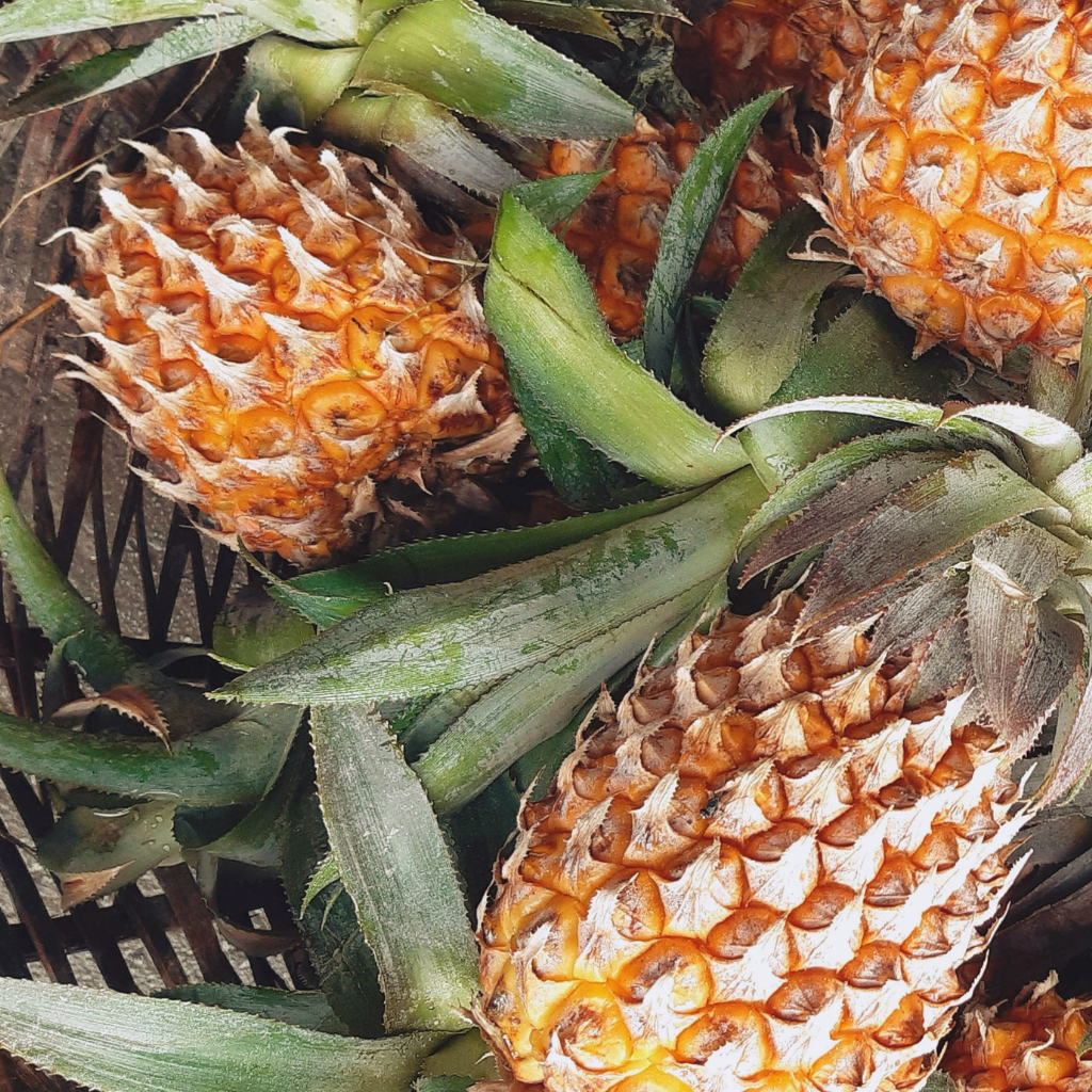 Pineapple Cardamom